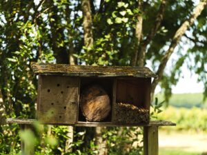 A small wooden beehive near an HVE-certified farm.