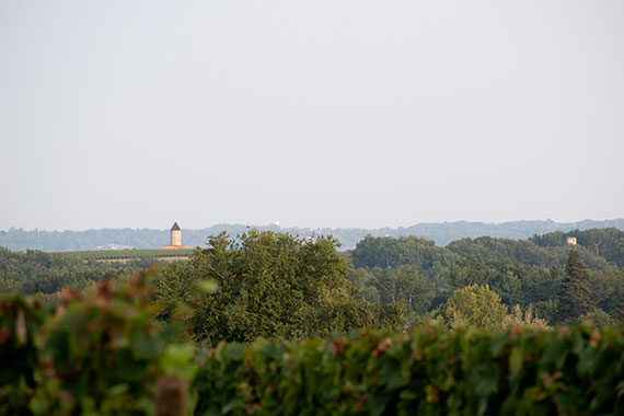 Univitis Vignoble de Bergerac