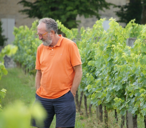 Univitis: a modern wine cooperative rooted in tradition