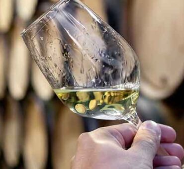 Vinification des vins blancs Univitis