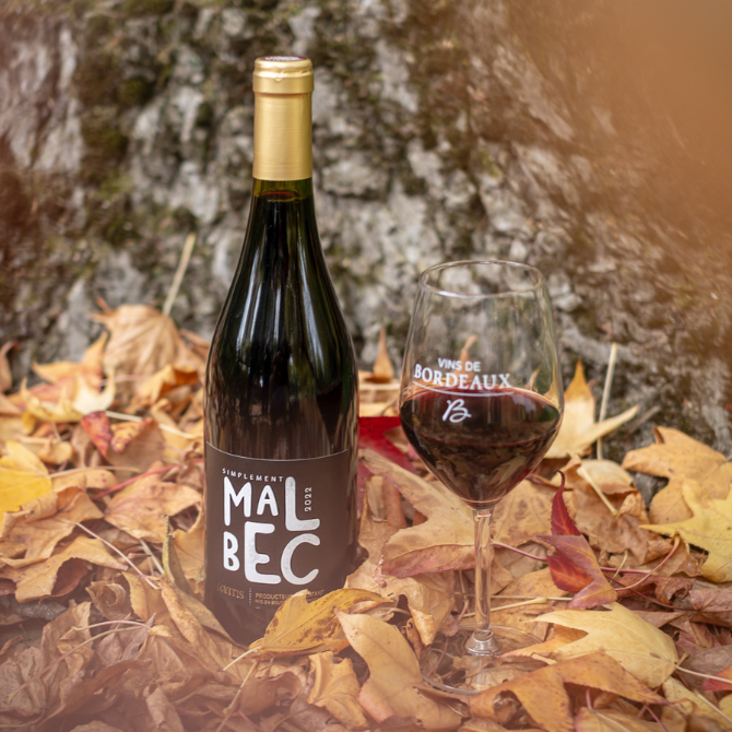 Bouteille de Simplement Malbec et verre de vin rouge sur un parterre de feuilles d’automne
