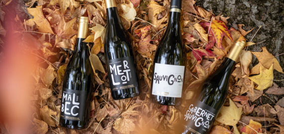 Collection cépages AOP Bordeaux automne