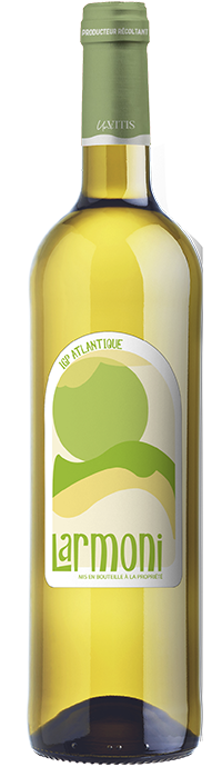 Bouteille de vin blanc sec IGP Atlantique sauvignon blanc