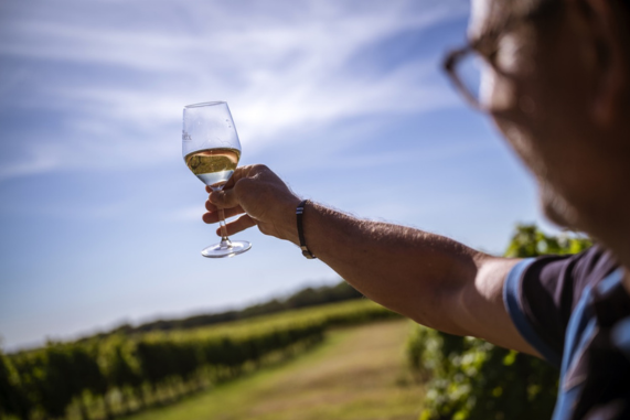 Viticulteur d’une cave coopérative Gironde tenant un verre de vin blanc