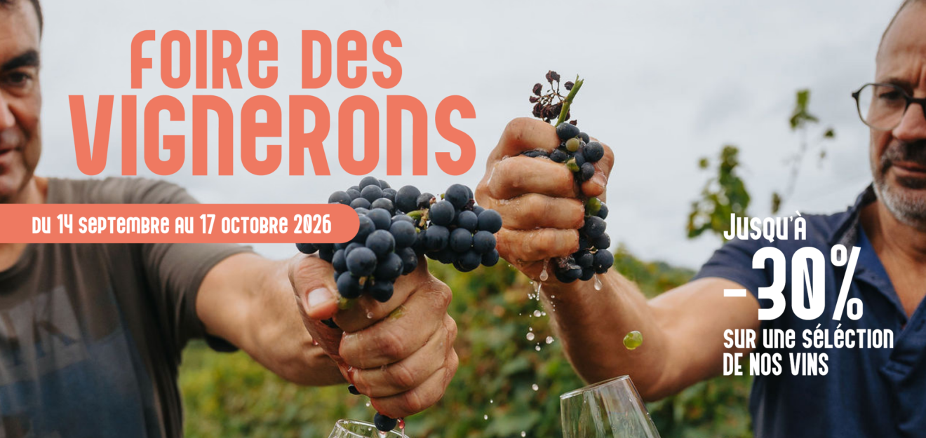 Foire au vins d'automne : la foire des vignerons
