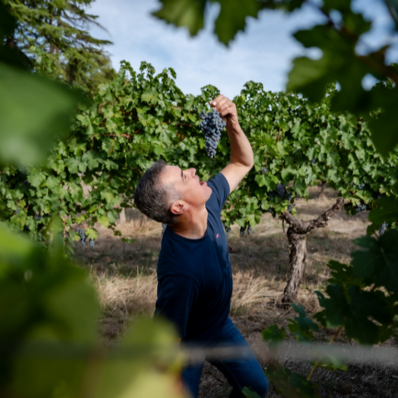 Viticulteur dans les vignes au cœur du vignoble bordelais